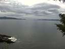 ./images/koeye/fitz-hugh/20200922/fitz-hugh20200922_132502.jpg