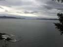 ./images/koeye/fitz-hugh/20200922/fitz-hugh20200922_135001.jpg