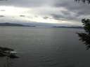./images/koeye/fitz-hugh/20200922/fitz-hugh20200922_135501.jpg