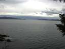 ./images/koeye/fitz-hugh/20200922/fitz-hugh20200922_140501.jpg