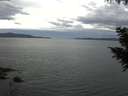 ./images/koeye/fitz-hugh/20200922/fitz-hugh20200922_142001.jpg