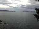 ./images/koeye/fitz-hugh/20200922/fitz-hugh20200922_144001.jpg