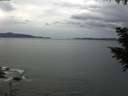 ./images/koeye/fitz-hugh/20200922/fitz-hugh20200922_145001.jpg