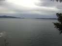 ./images/koeye/fitz-hugh/20200922/fitz-hugh20200922_154001.jpg