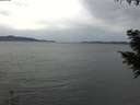 ./images/koeye/fitz-hugh/20200922/fitz-hugh20200922_161002.jpg