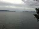 ./images/koeye/fitz-hugh/20200922/fitz-hugh20200922_165001.jpg