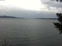 ./images/koeye/fitz-hugh/20200922/fitz-hugh20200922_171501.jpg