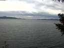 ./images/koeye/fitz-hugh/20200922/fitz-hugh20200922_180501.jpg
