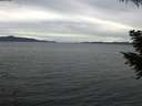 ./images/koeye/fitz-hugh/20200922/fitz-hugh20200922_182501.jpg