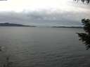 ./images/koeye/fitz-hugh/20200922/fitz-hugh20200922_184501.jpg
