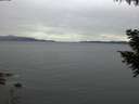 ./images/koeye/fitz-hugh/20200922/fitz-hugh20200922_193502.jpg