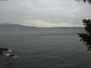 ./images/koeye/fitz-hugh/20200922/fitz-hugh20200922_194002.jpg