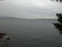 ./images/koeye/fitz-hugh/20200922/fitz-hugh20200922_194502.jpg