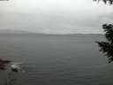 ./images/koeye/fitz-hugh/20200922/fitz-hugh20200922_195002.jpg