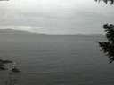 ./images/koeye/fitz-hugh/20200922/fitz-hugh20200922_195502.jpg