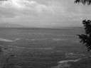 ./images/koeye/fitz-hugh/20200923/fitz-hugh20200923_064502.jpg