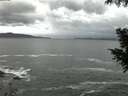 ./images/koeye/fitz-hugh/20200923/fitz-hugh20200923_065002.jpg