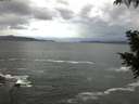 ./images/koeye/fitz-hugh/20200923/fitz-hugh20200923_065502.jpg