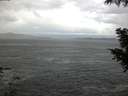 ./images/koeye/fitz-hugh/20200923/fitz-hugh20200923_071002.jpg