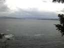 ./images/koeye/fitz-hugh/20200923/fitz-hugh20200923_071502.jpg