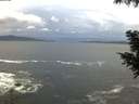 ./images/koeye/fitz-hugh/20200923/fitz-hugh20200923_073502.jpg