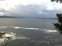 ./images/koeye/fitz-hugh/20200923/fitz-hugh20200923_074001.jpg