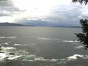 ./images/koeye/fitz-hugh/20200923/fitz-hugh20200923_074501.jpg