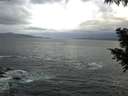 ./images/koeye/fitz-hugh/20200923/fitz-hugh20200923_080001.jpg