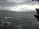 ./images/koeye/fitz-hugh/20200923/fitz-hugh20200923_081001.jpg