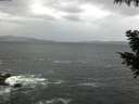 ./images/koeye/fitz-hugh/20200923/fitz-hugh20200923_082501.jpg