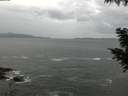 ./images/koeye/fitz-hugh/20200923/fitz-hugh20200923_083501.jpg