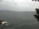 ./images/koeye/fitz-hugh/20200923/fitz-hugh20200923_084001.jpg