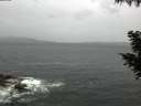 ./images/koeye/fitz-hugh/20200923/fitz-hugh20200923_084501.jpg