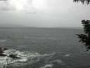 ./images/koeye/fitz-hugh/20200923/fitz-hugh20200923_085001.jpg