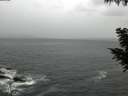 ./images/koeye/fitz-hugh/20200923/fitz-hugh20200923_085501.jpg