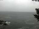./images/koeye/fitz-hugh/20200923/fitz-hugh20200923_091501.jpg