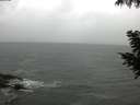 ./images/koeye/fitz-hugh/20200923/fitz-hugh20200923_092501.jpg