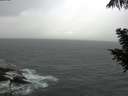 ./images/koeye/fitz-hugh/20200923/fitz-hugh20200923_094002.jpg