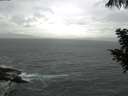 ./images/koeye/fitz-hugh/20200923/fitz-hugh20200923_094502.jpg