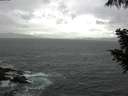 ./images/koeye/fitz-hugh/20200923/fitz-hugh20200923_095002.jpg