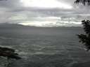 ./images/koeye/fitz-hugh/20200923/fitz-hugh20200923_100502.jpg