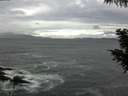 ./images/koeye/fitz-hugh/20200923/fitz-hugh20200923_101002.jpg