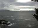 ./images/koeye/fitz-hugh/20200923/fitz-hugh20200923_101502.jpg