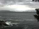 ./images/koeye/fitz-hugh/20200923/fitz-hugh20200923_102502.jpg