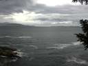 ./images/koeye/fitz-hugh/20200923/fitz-hugh20200923_104002.jpg