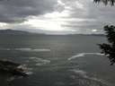 ./images/koeye/fitz-hugh/20200923/fitz-hugh20200923_104502.jpg