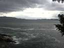 ./images/koeye/fitz-hugh/20200923/fitz-hugh20200923_105001.jpg
