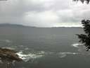 ./images/koeye/fitz-hugh/20200923/fitz-hugh20200923_112501.jpg