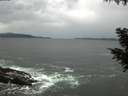 ./images/koeye/fitz-hugh/20200923/fitz-hugh20200923_113501.jpg