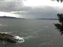 ./images/koeye/fitz-hugh/20200923/fitz-hugh20200923_114501.jpg
